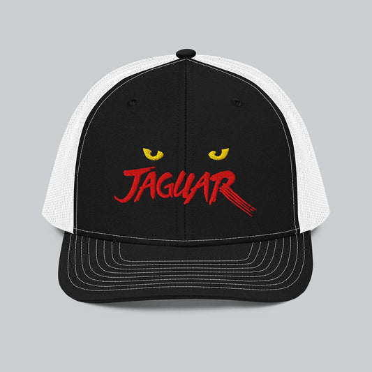The Jaguar Bundle