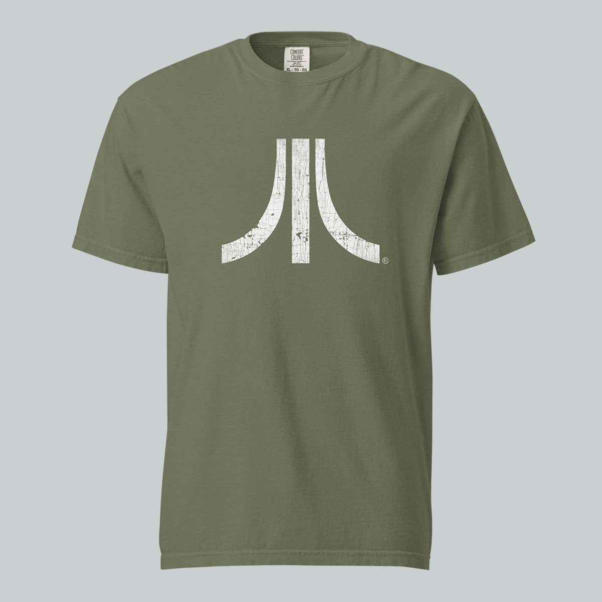 Distressed Fuji Tee