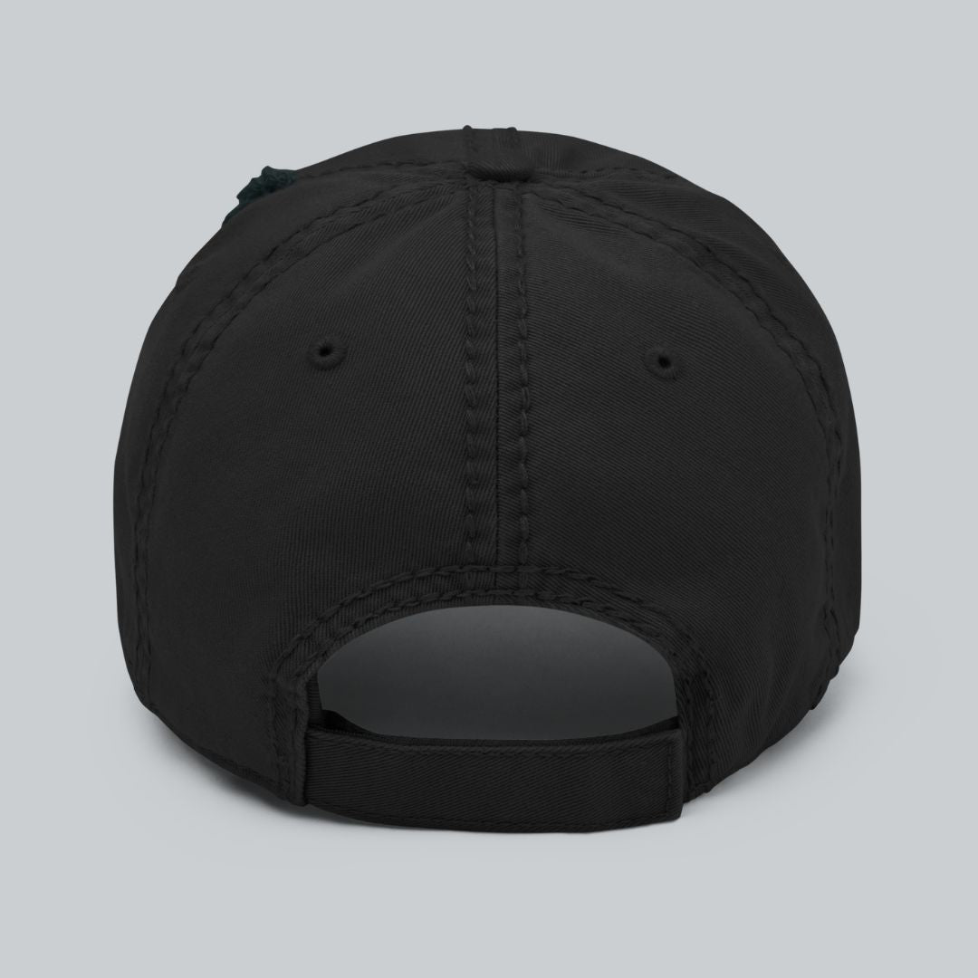 Space Camp Distressed Dad Hat