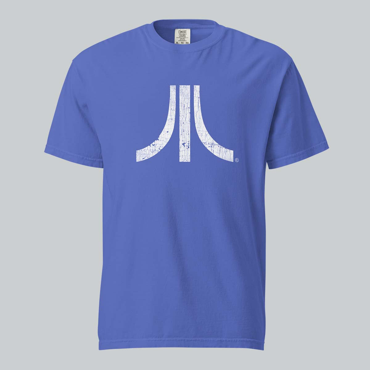 Spring Blue Distressed Fuji Tee